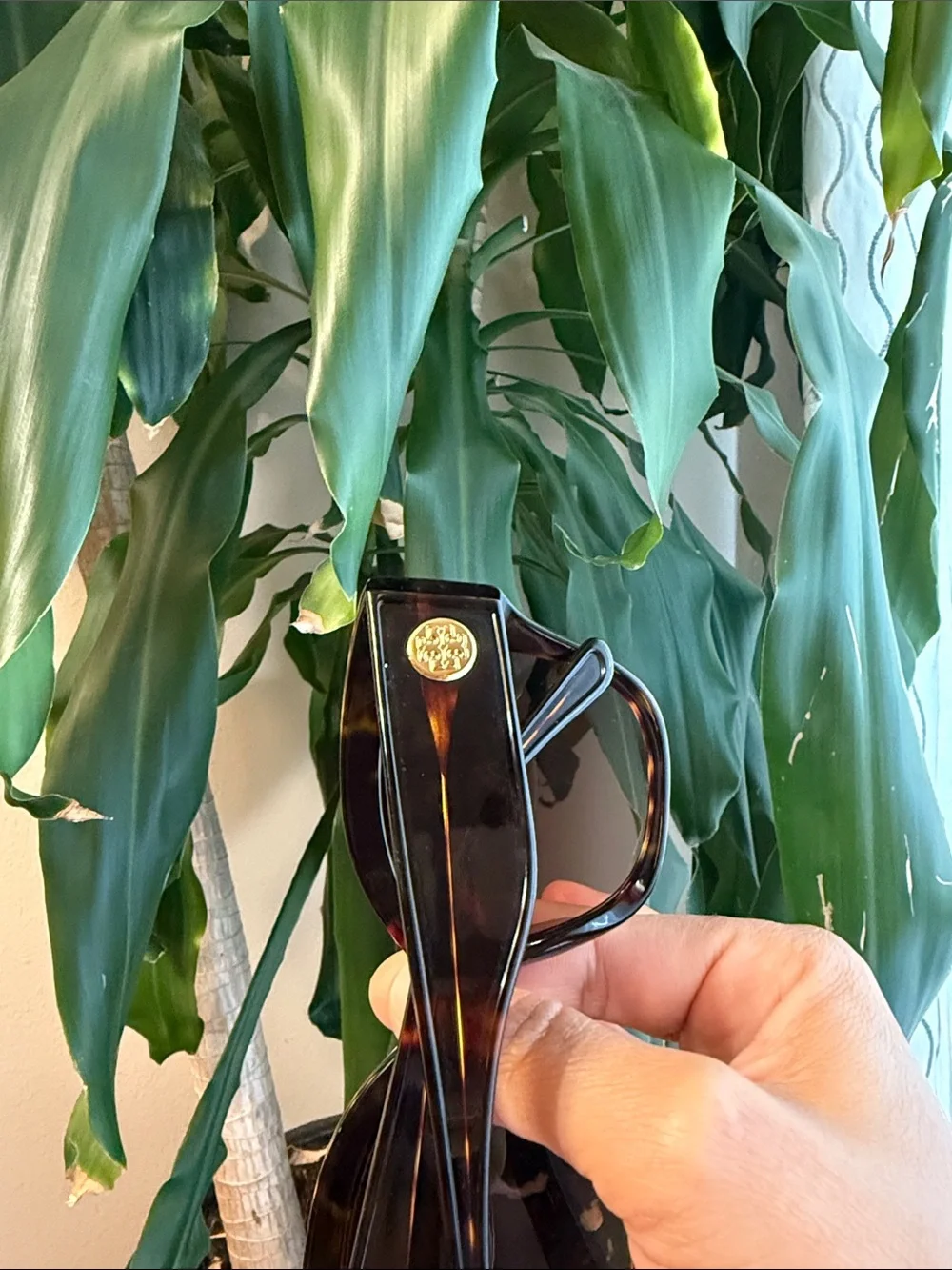 Tory Burch Black Oversized Women's Sunglasses